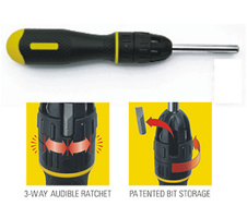 10 Piece Multi-Bit Racheting Screwdriver